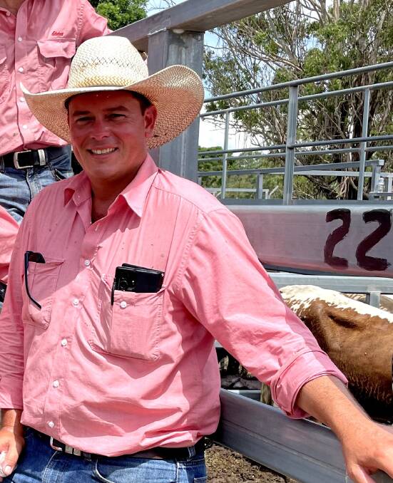 In Beaudesert, Elders Livestock Agent, Carl Young said he felt excess numbers of secondary cattle had contributed to a loss of buyer confidence. Picture: Alison Paterson