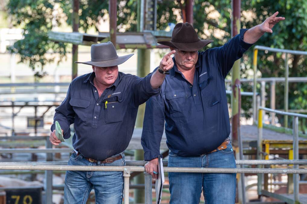Prophurst principal Bram Pollock (left) with colleague Ian Bradford at a store sale in Mareeba. Mr Pollock said wet weather is making it difficult for Atherton Tablelands graziers to get stock to market. Picture: Supplied