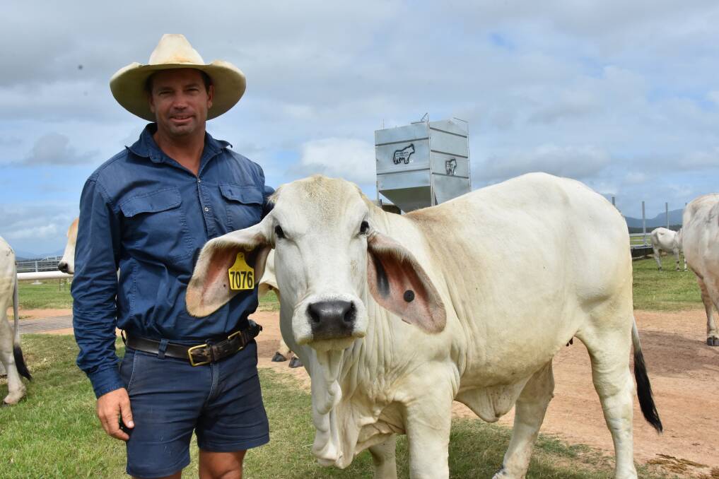 Ray Vella with one of his in-calf heifers, fresh off the truck at Breadalbane Plains. Picture: Steph Allen
