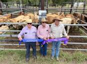 Nebo vendors Ian Michelmore, PJ Michelmore and Ben Michelmore won first place for feeder steers and grand champion for a pen of feeder steers at the Nebo Weaner and Feature sale on March 22. Picture: Contributed