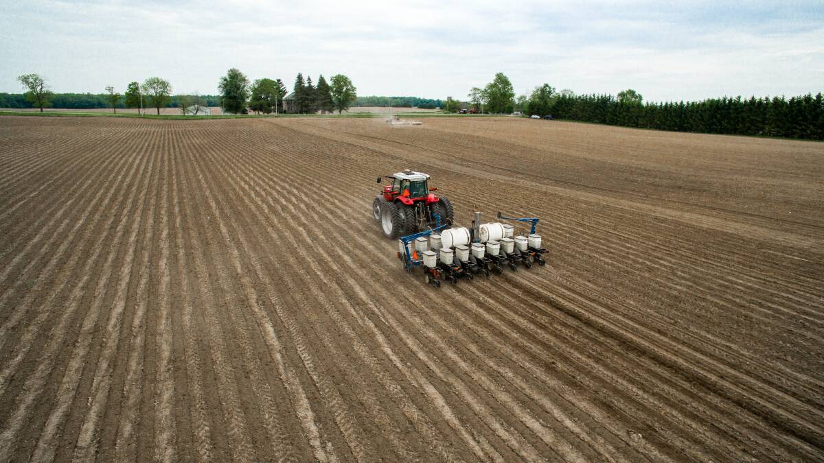 A move to strip tillage and RTK guidance is the key component in Strang Farms' precision operation.