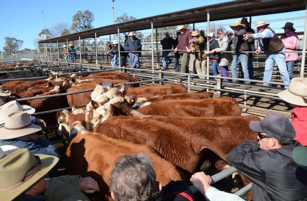Elders is buying a 30 per cent stake in farm sector lender, StockCo which helps sheep and cattle buyers with short-term funding for purchases at saleyards or direct from vendors.