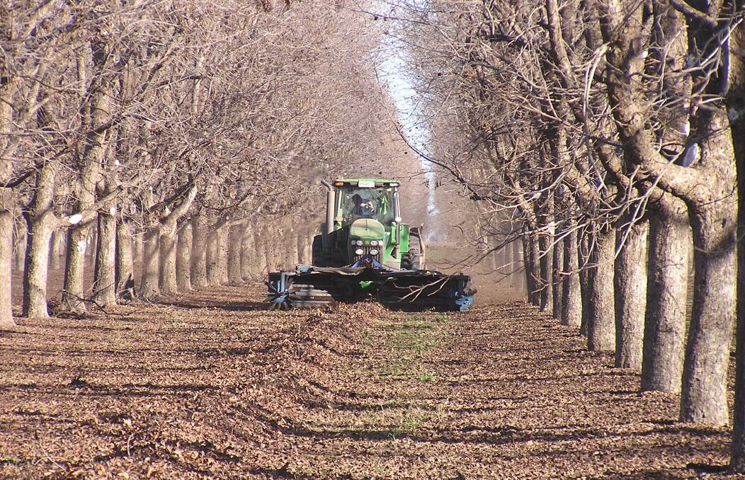Established east of Moree in 1971, Stahmann Farms Enterprises is Australia’s largest pecan grower, processor and marketer, and a major macadamia processor and marketer.