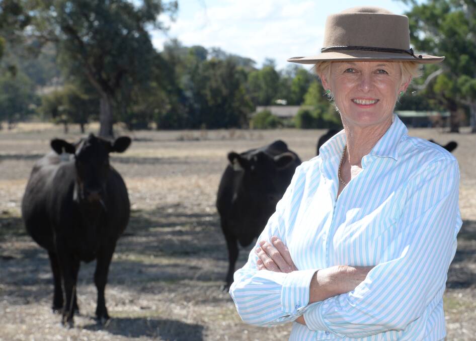 Southern NSW based beef industry leader, Lucinda Corrigan, sees plenty of livestock genetic export potential in South America where "a serious grassfed industry" shares a lot of the production issues Australian beef producers have.