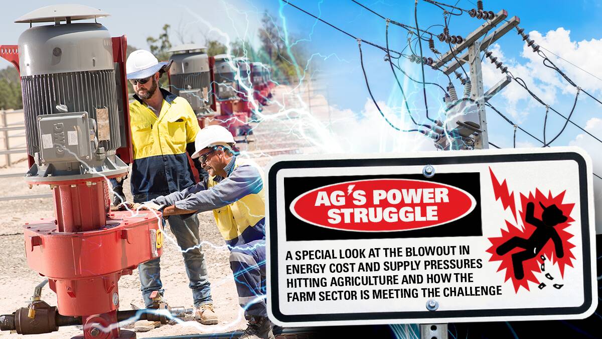 Power grid urgently needs gas-fired help