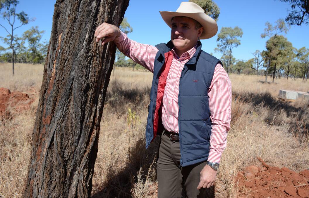 State MP Rob Katter said the sealing of the Hann Highway triggers needed jobs for regional communities such as Hughenden, which experienced job losses in the rail industry last year. Photo: Chris Burns. 