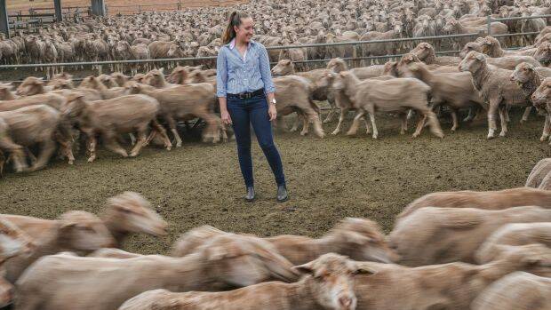 Katherine Bain wants to come home one day to run the family's merino sheep farm in Stockyard Hill near Ballarat. Photo: Joe Armao