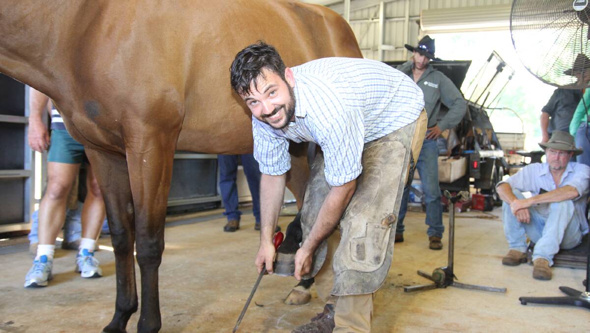 Equine veterinarian and farrier Dr Luke Wells-Smith at work during a clinic in Malanda.