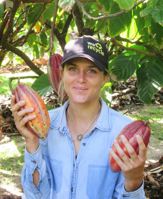 JCU graduate student Samantha Forbes was part of the research team looking at how byproducts from the cocoa tree can increase pollination rates and the abundance of predators that may help control pests. 