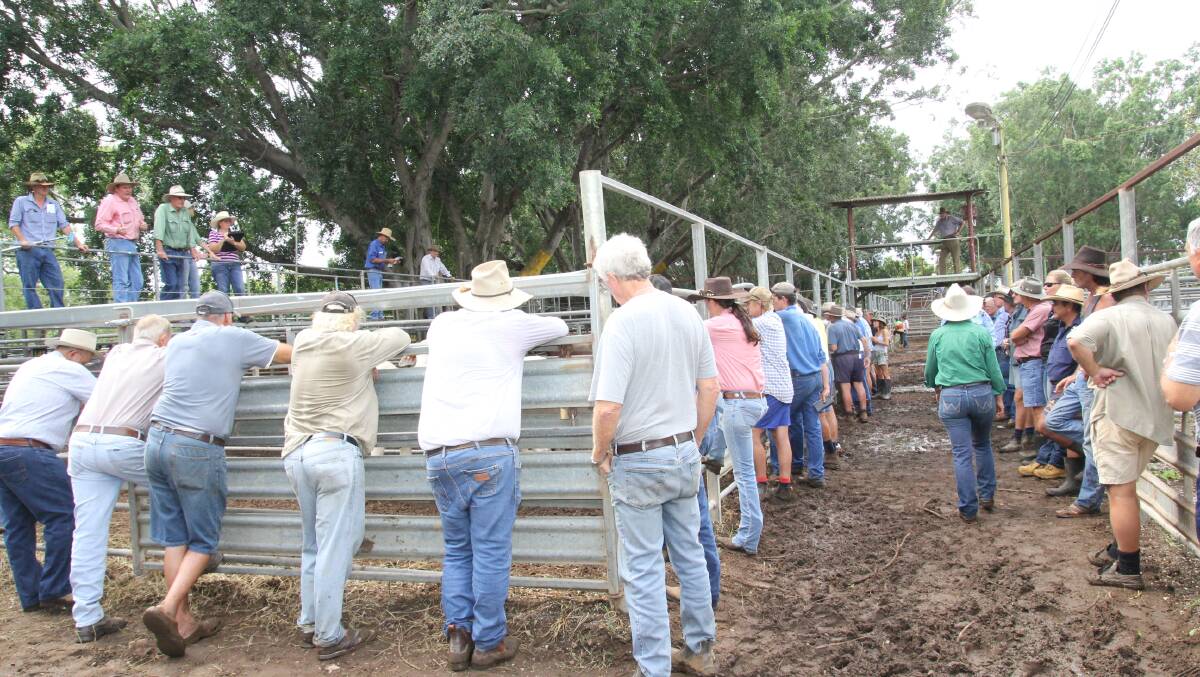 Buyers, vendors and interested on-lookers at the first Mareeba Sale for 2017.