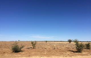 Drought conditions in Etheridge Shire.