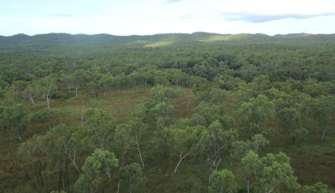 Cape York Peninsula has been put forward as a site for military training.