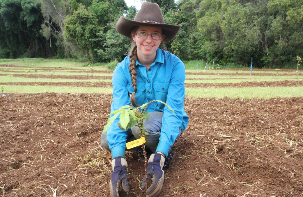 Ground Breaking: Apprentice horticulturalist India Whitton helps plant out a native rainforest tree trial plot at Rainforest Bounty's Lindsay Road property.