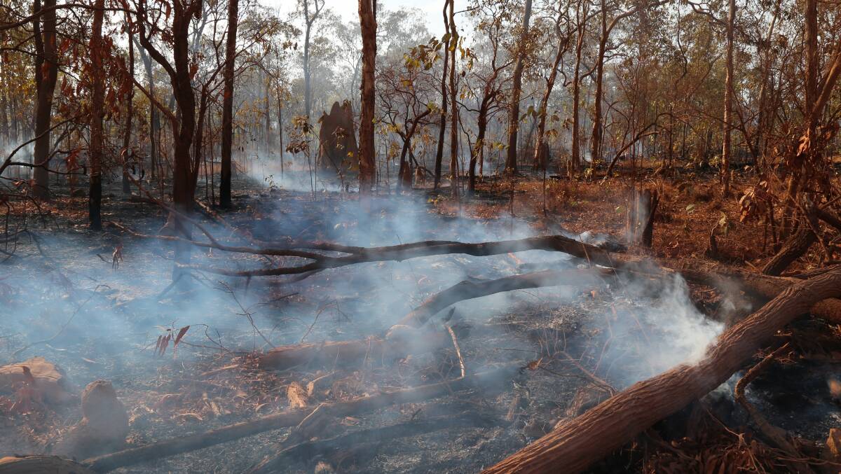 Land managers are meeting this week to discuss ways to improve fire management on Cape York. Photo Lyndal Scobell.