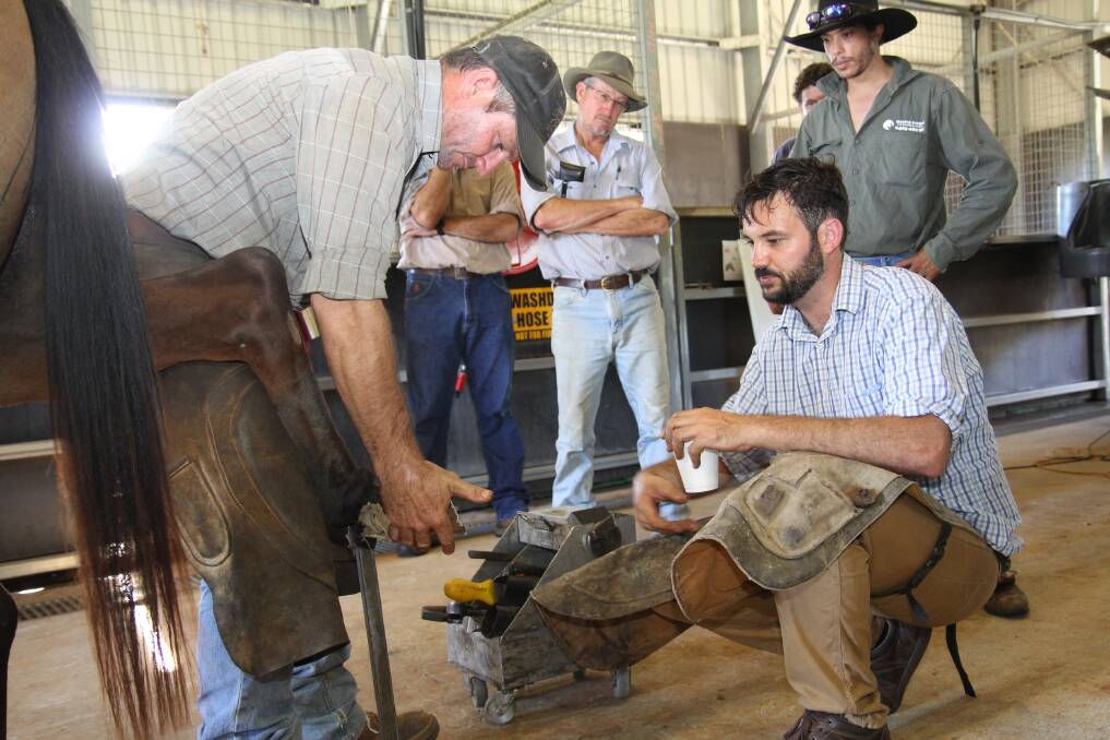 Farrier Michael Cordingley shoes a horse while Dr Luke Wells-Smith watches on.