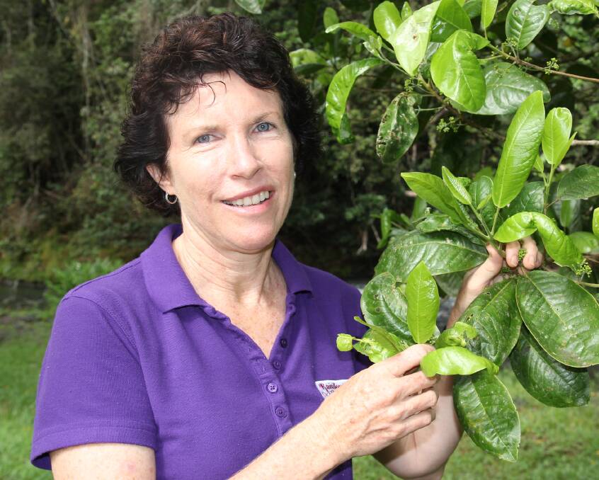 Geraldine Magurie, Rainforest Bounty.