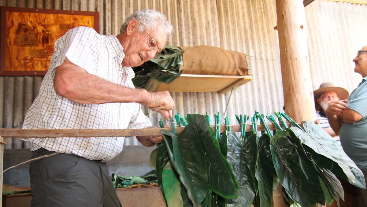 Former tobacco grower Ross Cuzzubbo, Mutchilba, plies his trade in the tobacco stringing competition at the Mareeba Heritage Centre birthday party.