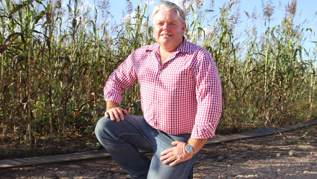 New Opportunity: Cattleman Paul Ryan is actively seeking a cropping farmer to help realise his family's high value dryland cropping project on Fairview Station, Laura.
