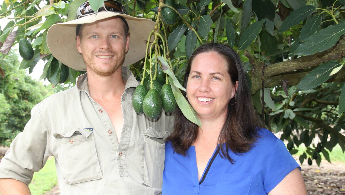 Matt and Jess Fealy, Blue Sky Produce, Mareeba, are among the large number of avocado growers who make up the industry which contributed $83 million to the region's economy in 2015.