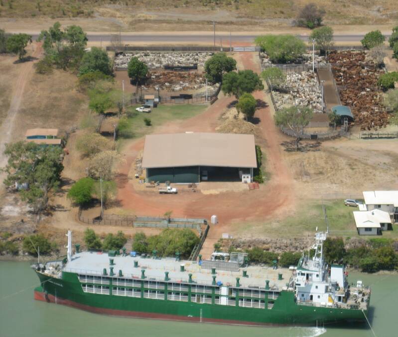 All aboard: Cattle being shipped from Karumba Port. Gulf cattleman believe developing the port is critical to the northern beef industry.