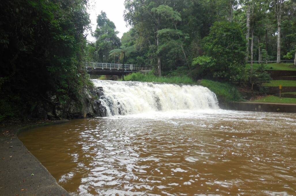 The popular swimming hole Malanda Falls is closed until further notice with the height of the water deemed unsafe for swimming. Photo Natalie Knight.