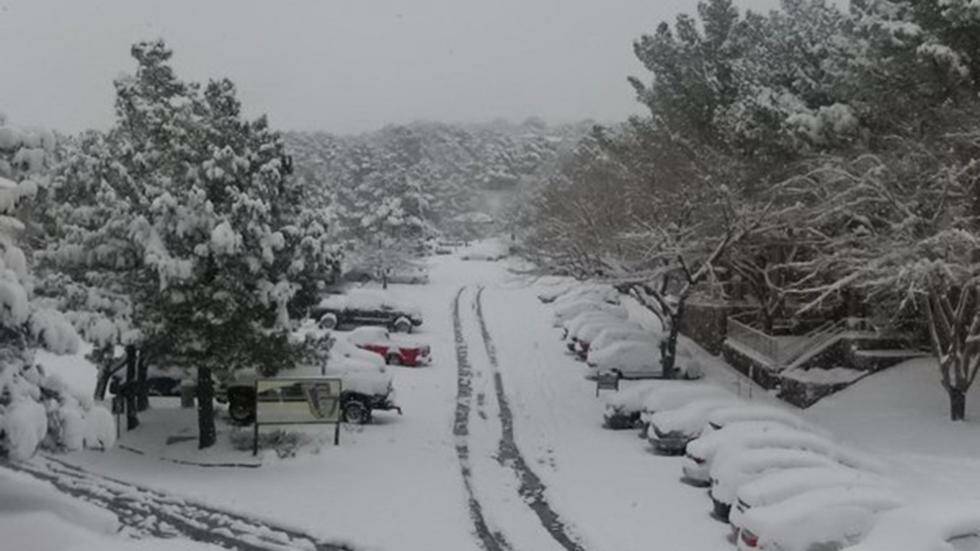 Texas and New Mexico in America were blanketed in show during a severe winter storm over Christmas which wreaked havoc in the dairy industry.
