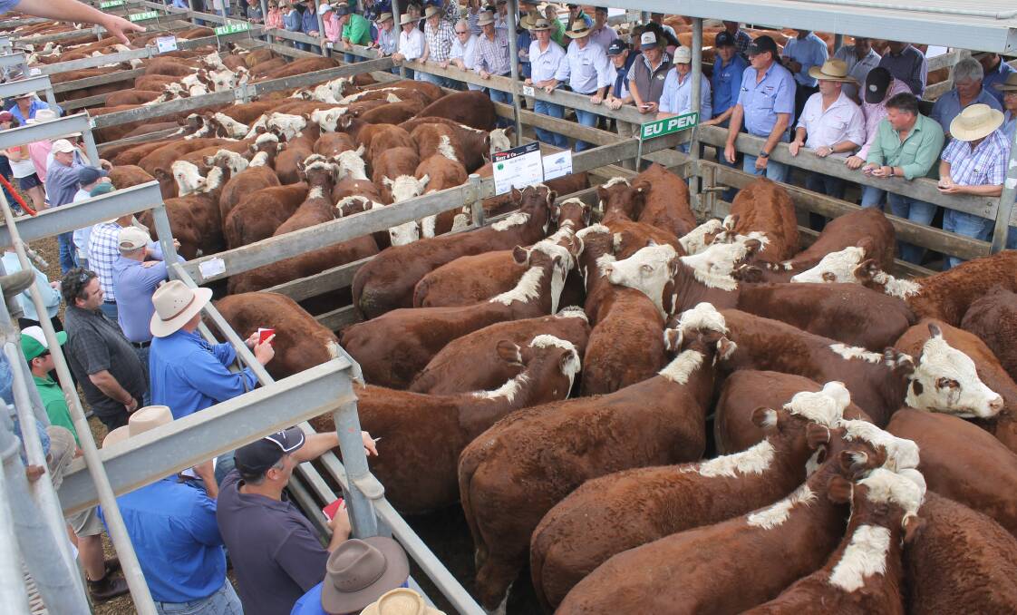 Despite the strong results of this year's sales, the Western District Hereford series needs a rethink.