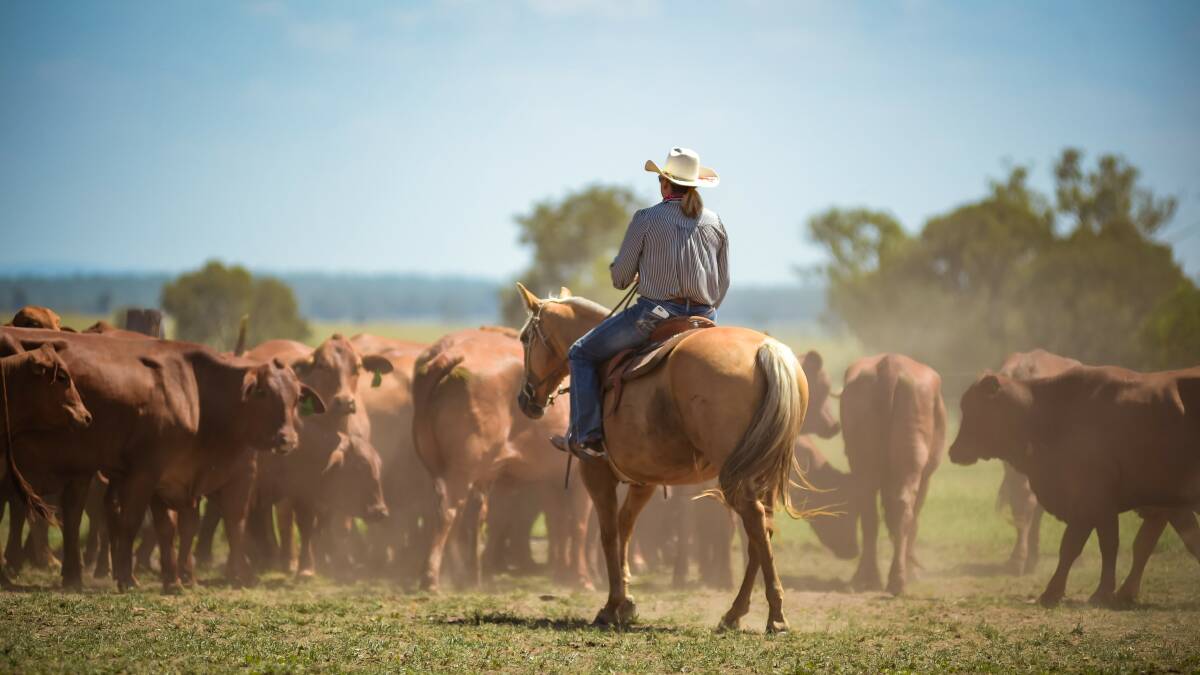 All eyes are on potential rain in pastoral regions of Queensland. Photo: Kelly Butterworth