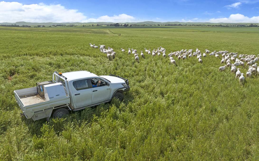 There are very options for farmers who might want to change over to an electric ute. 