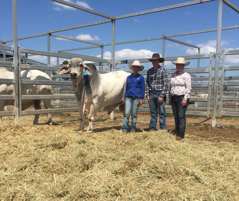 Purchasers of the top priced bull Jack Fitzpatrick and Toni Wuersching, Gulf Coast Stud, Gulf Coast Agricultural Company, Stirling Station in the Gulf of Carpentaria with Lizette McCamley, Lancefield S. 
