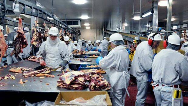 Queensland's average weekly cattle slaughter has dropped 9pc during May compared to the same period last year helping to confirm forecasts 2017 being the lowest cattle processing in 20 years. Picture supplied: Sydney Morning Herald.