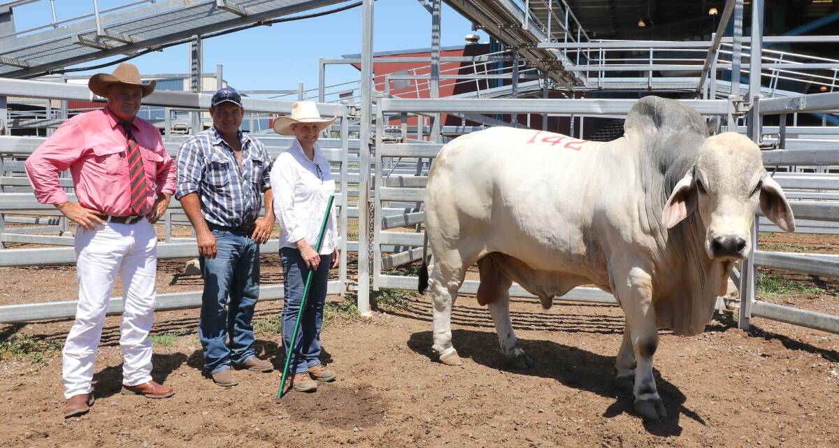 Top selling Brahman bull overall and top selling ‘Used Sire' on the opening day of the annual February All Breeds Sale was the $32,000 Stewart Park Kody 110 (AI) (ET) (H). The rising five and half year old bull is with Elders auctioneer, Randall Spann, buyer Shane Griffin, Shandra Stud, Charons Ferry, Ogmore and vendor Debbie Frampton, Little Creek Stud, Dallarnil.