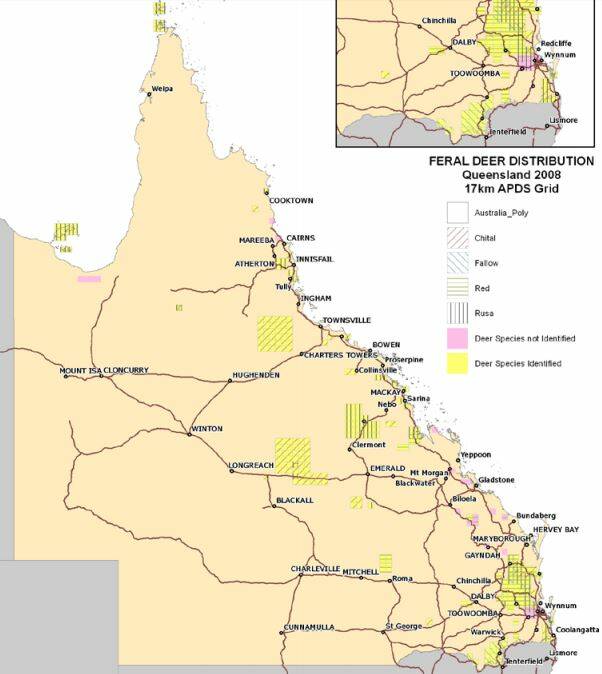 Map of feral deer distribution in Queensland. Picture: DAF.