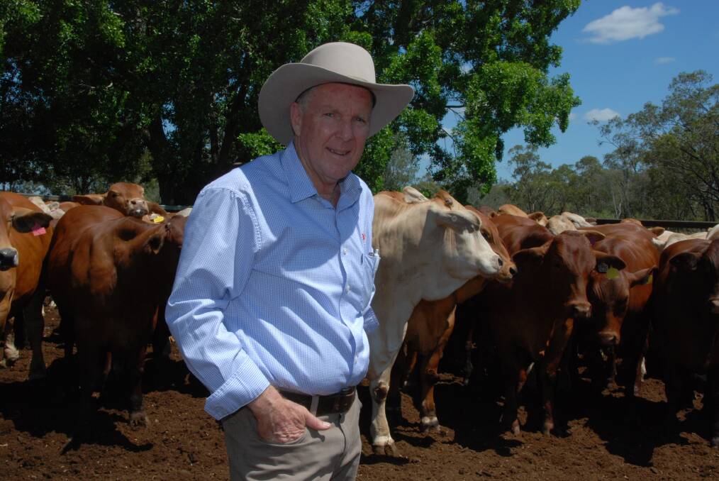 TAKING ACTION: JBS Australia's northern livestock manager Steve Groom has called out Aurizon and the Department of Transport and Main Roads over their lack of action to quickly resolve the new cattle wagon safety concerns. - Picture: Martin Bunyard.