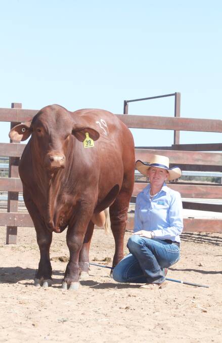 Louise Prentice with her $22,000 Jamar Mason (P) bull who sold to Sean Dillon, Surbiton Station, Alpha.
