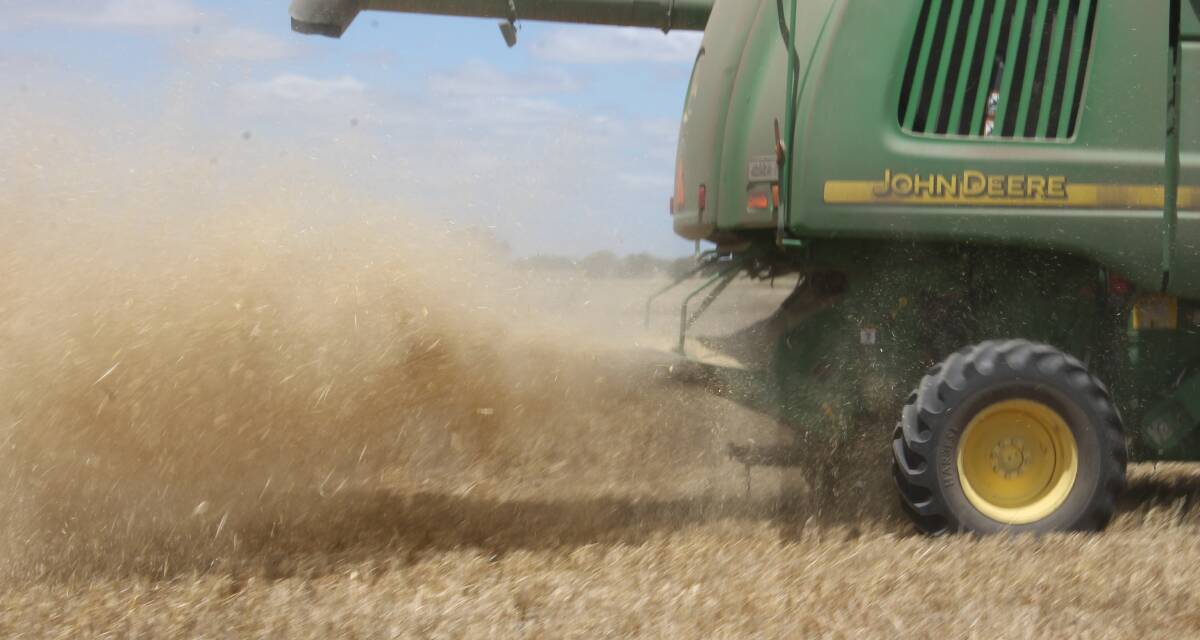 The GRDC needs to sort the wheat from the chaff when making decisions about how to spend its research dollars. 