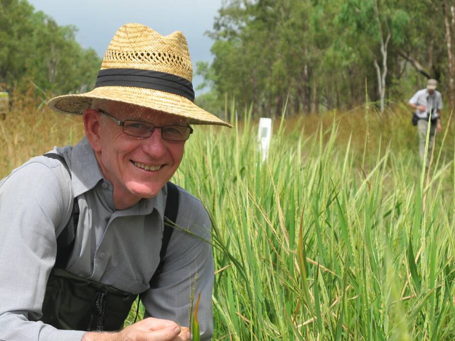 Robert Henry, UQ, will play a role in a new global confederation dedicated to wild rice research. Photo courtesy of UQ.