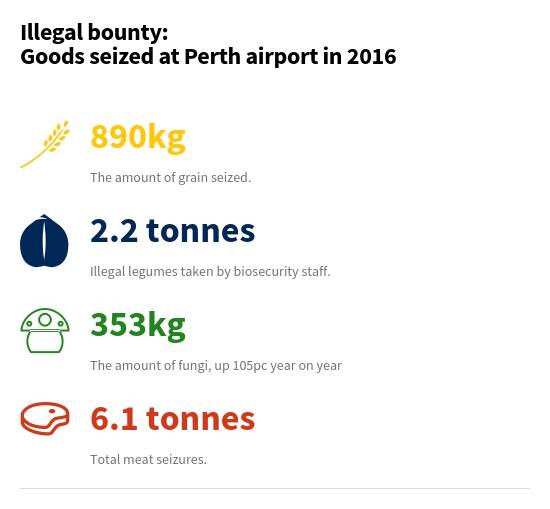 The figures taken from Perth Airport in 2016 make for grim reading. 