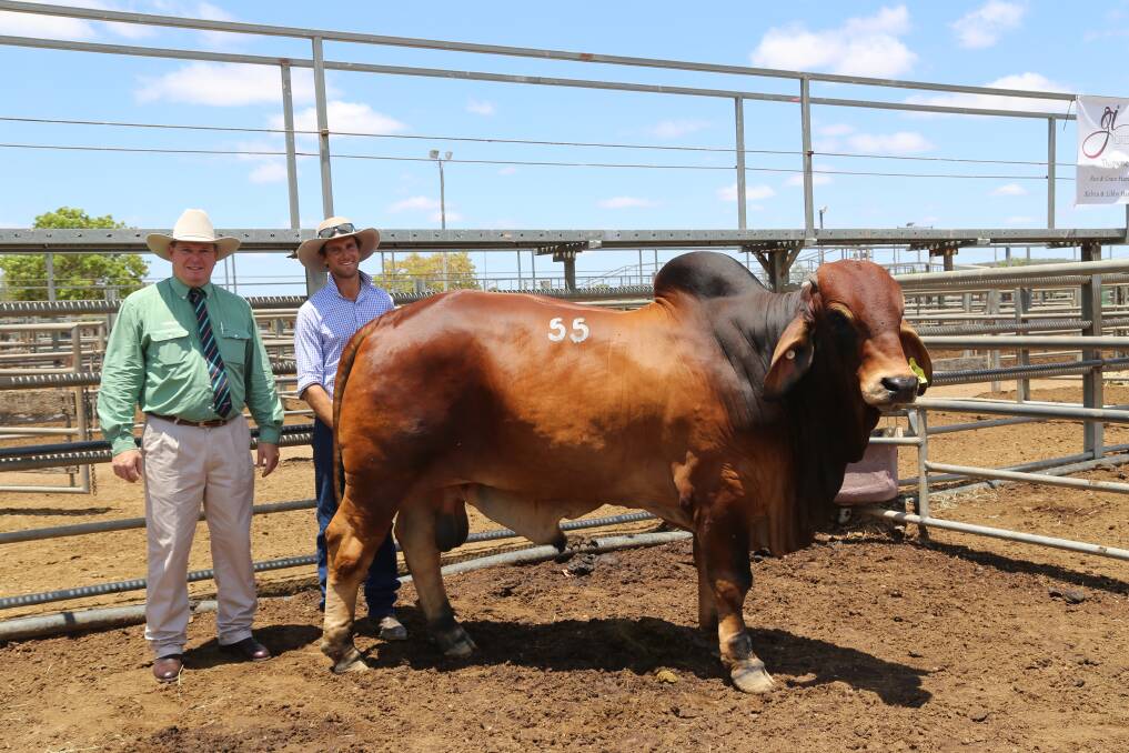 Stylish Icon: Bungarribee Icon 2120 topped the 2016 sale at $26,000, he's pictured with Landmark's Mark Scholes and vendor Harvey Besley. 