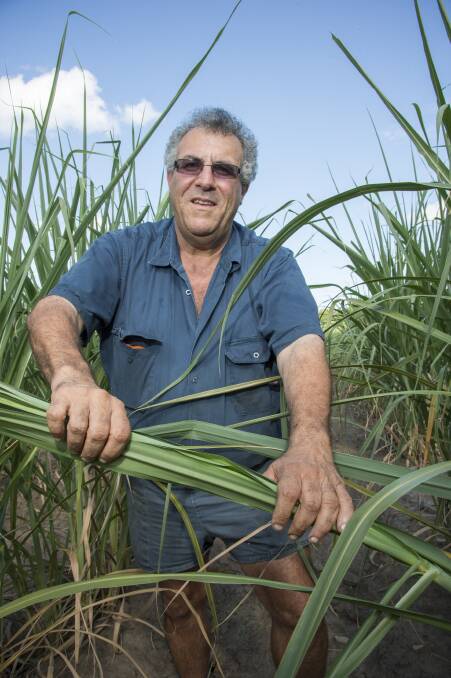 Canegrowers chairman Paul Schembri said the group is seeking commitments and assurances from all political parties around five policy areas vital to the prosperity of the Queensland sugar industry at the upcoming federal election.