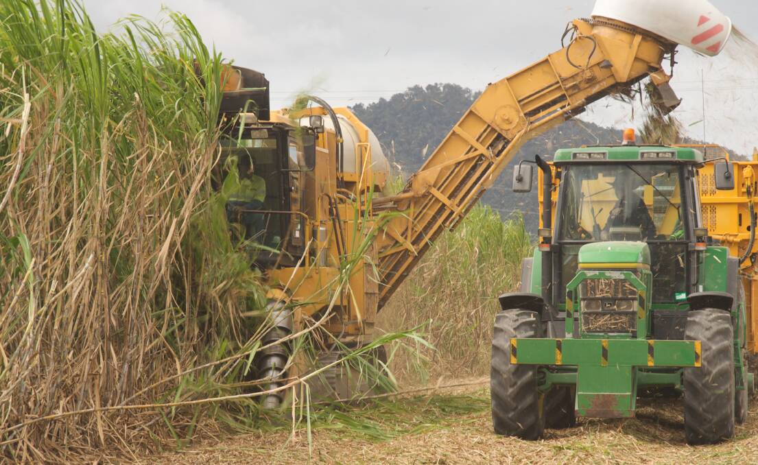 This year Canegrowers has set a goal of increasing age and gender diversity among its elected representatives.