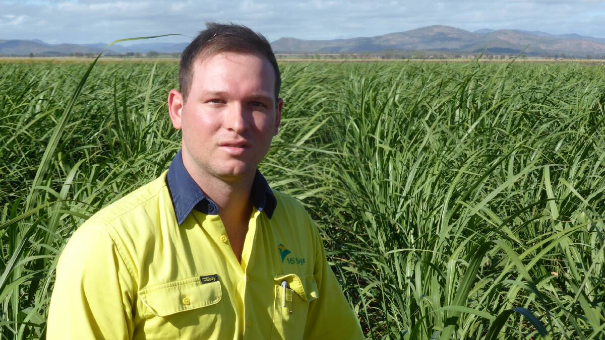 Efficiency boost: MSF Sugar's Damon Falvo said the $3.2M irrigation efficiency project will lower input costs and increase crop yields for Tableland cane growers.