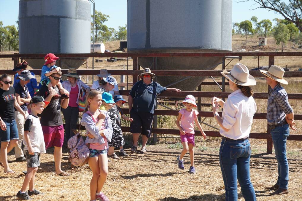 After meeting Matt and Sonia Bennetto at Virginia Park the Townsville tour group involved in the Dalrymple Landcare Committee's annual City Country Day held on Saturday headed straight into the cattle yards to get some hands on experience working with cattle.