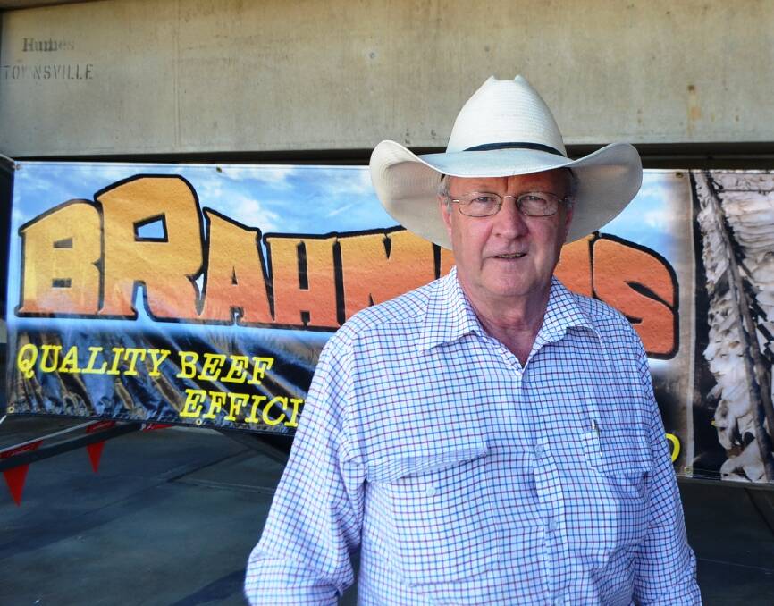 ABBA general manager John Croaker at the 2014 Gold City Brahman Sale held annually at the Dalrymple Saleyard, Charters Towers. The Gold City sale along with MAGS and Wilangi will be the only major stud sales taking place in the north before 2015 ends.