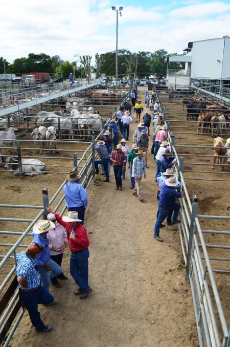 Another busy day of buying and selling at Charters Towers.