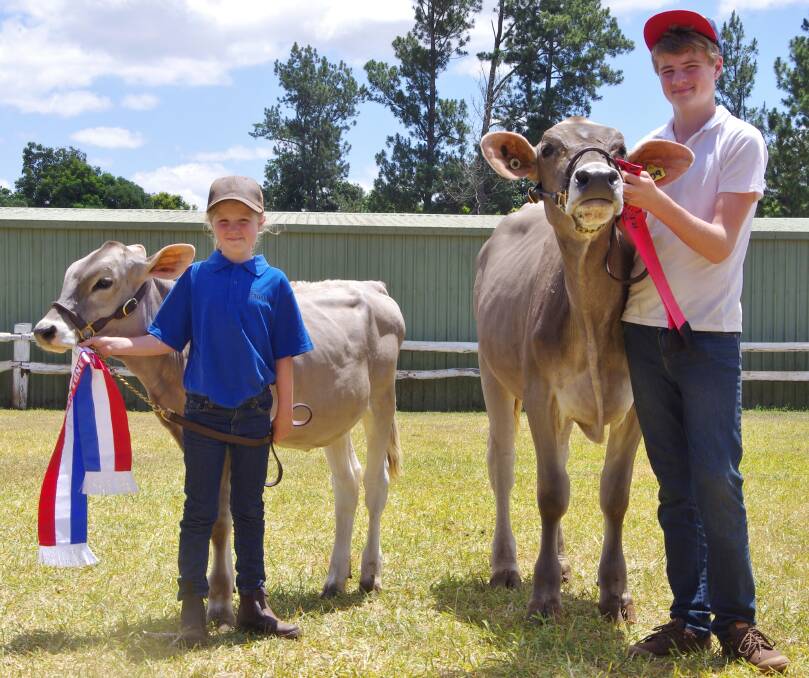 Siblings Kealey and Zac Harris enjoyed success with their 'Harrisvale' Brown Swiss at the 2014 All Breeds Calf Day.