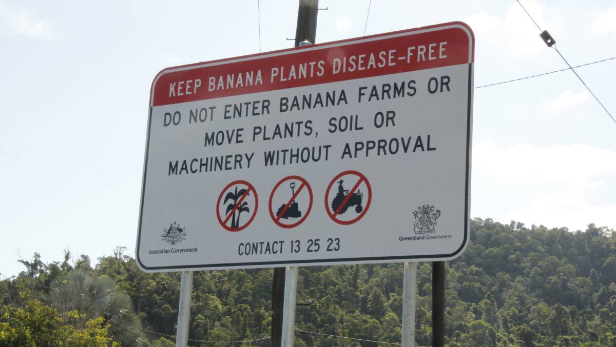 Panama disease tropical race 4 are going up on major routes throughout North Queensland.