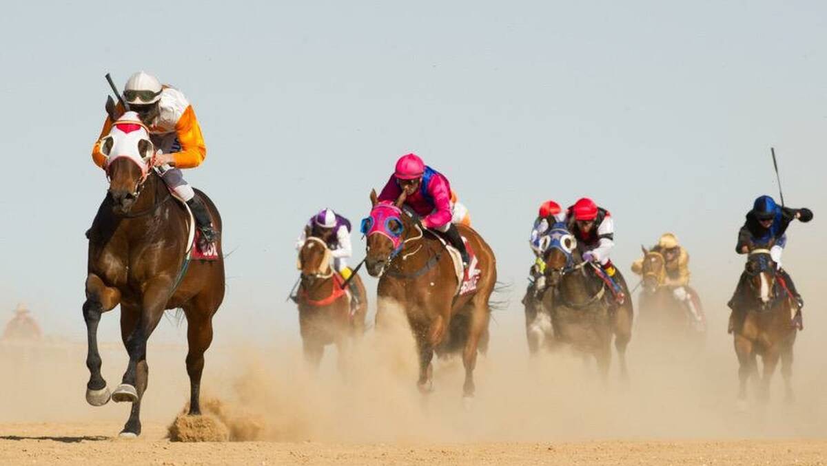 Iron Meteorite charges through the dust ahead of the pack during his eventual win in the 2015 Birdsville Cup.