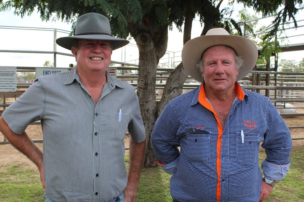 Smooth sailing: Swan's Lagoon business owner Peter Malpass and livestock manager David Roberts, have focussed on expanding and diversifying operations on-property using high quality Brahman genetics.