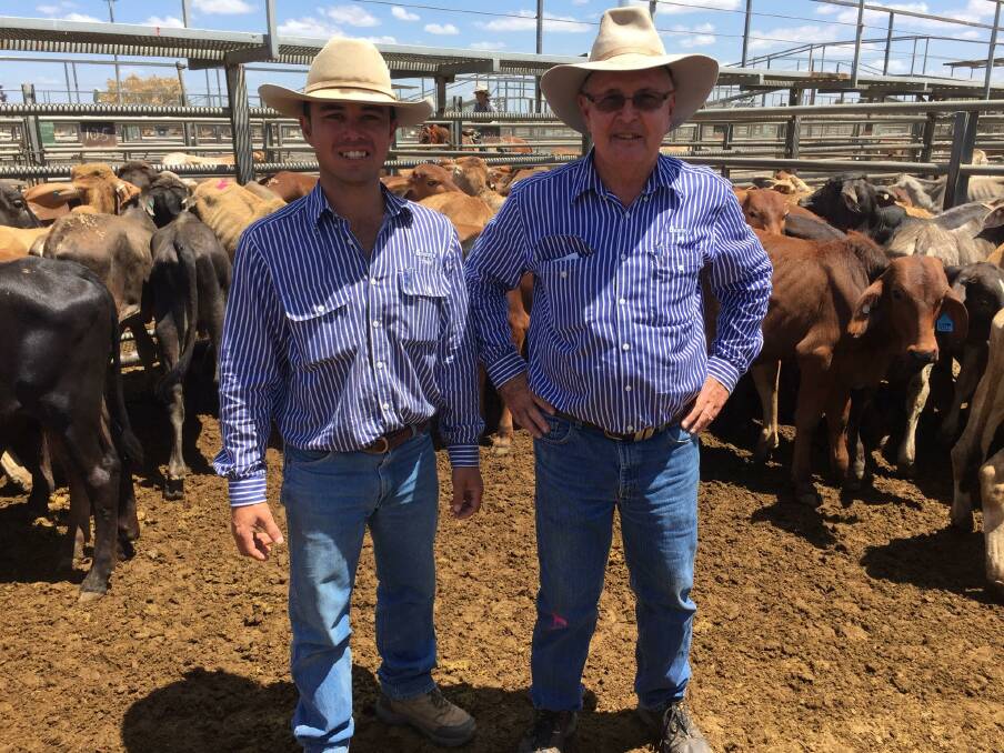Charters Towers store and prime sale agents Troy Williams and Jim Geaney with the pen of 45 Brahman-cross weaner steers sold by Lawn Hill & Riversleigh Pastoral Holding Co P/L, “Lawn Hill”, Mount Isa which broke the saleyard record when they sold for 440¢/kg to weigh 132kg and return $580/head.